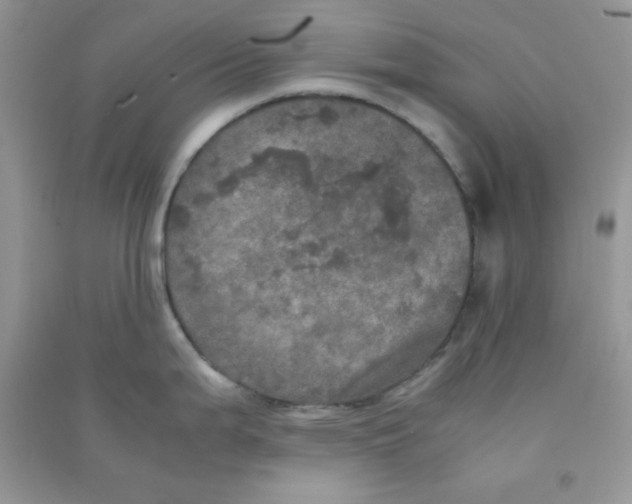 X0000090621199200708141406