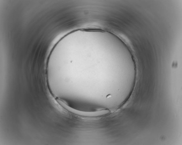 X0000090621200200708141406