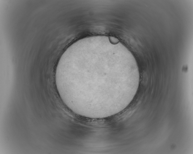 X0000090621201200708141405