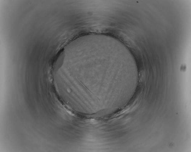 X0000090621202200708141405