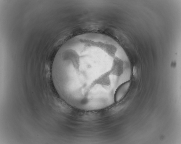 X0000090621203200708141405