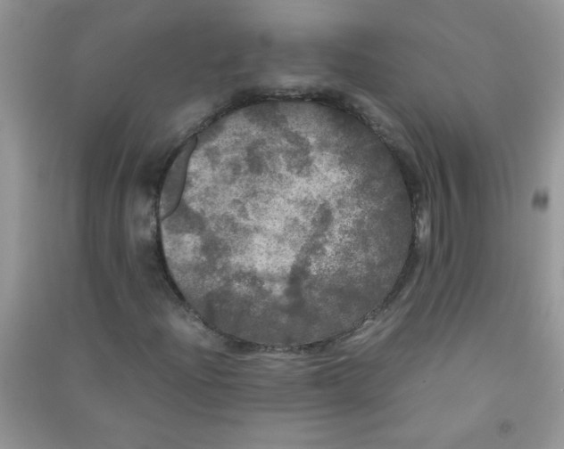 X0000090621204200708141405