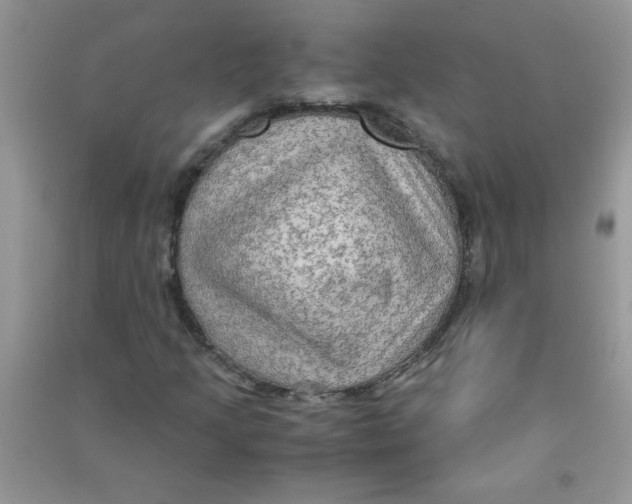 X0000090621205200708141405