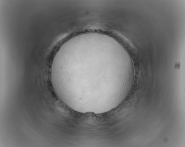 X0000090621207200708141405