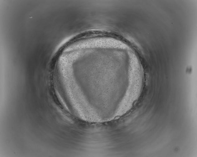 X0000090621208200708141405