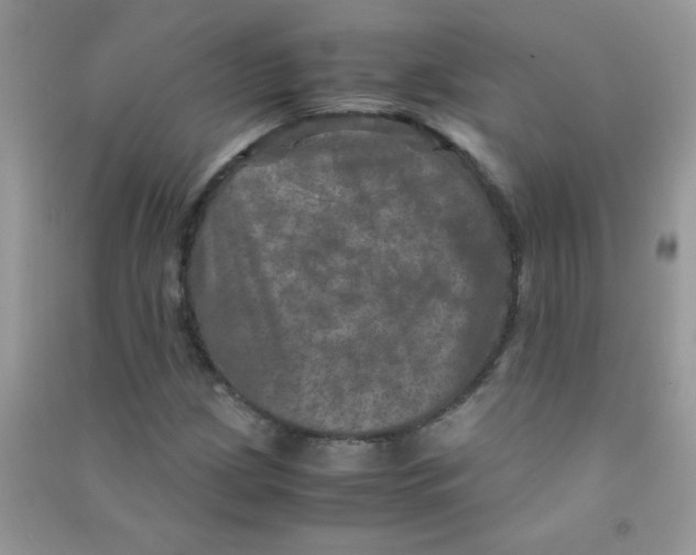 X0000090621209200708141405