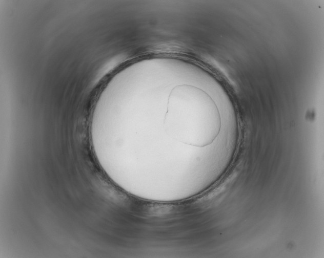 X0000090621211200708141405