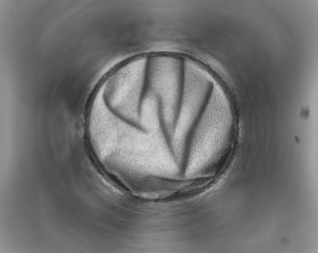 X0000090621212200708141405