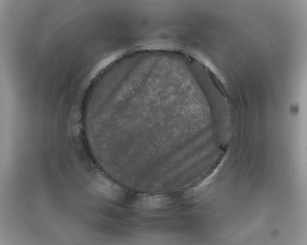 X0000090621213200708141405