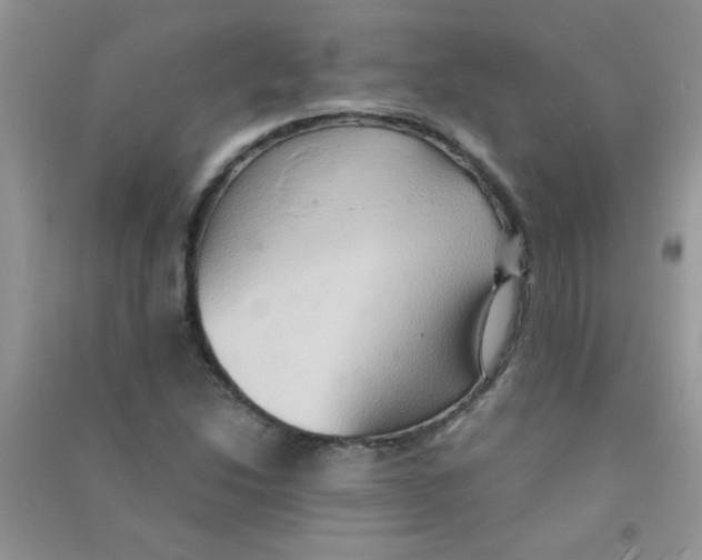 X0000090621214200708141405