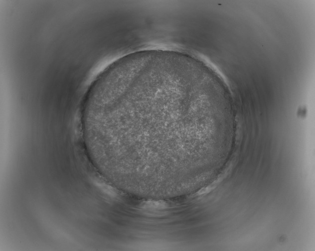 X0000090621215200708141405