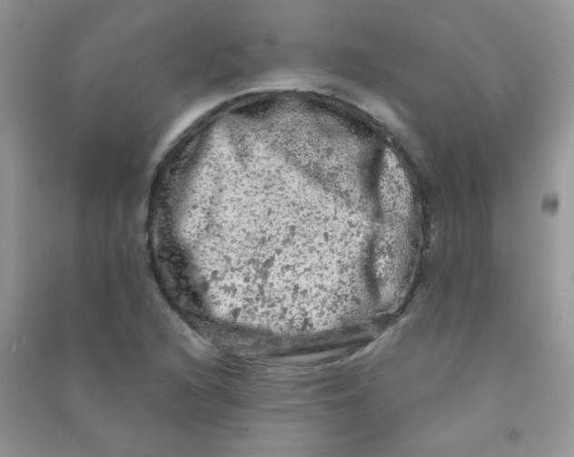 X0000090621216200708141405