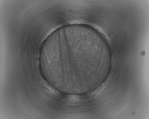 X0000090621217200708141405