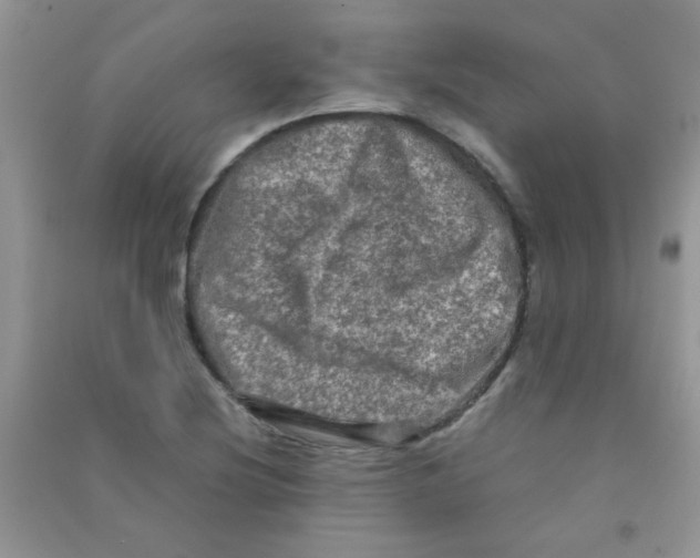 X0000090621220200708141405