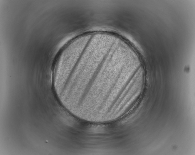 X0000090621221200708141405