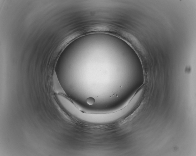 X0000090621225200708141406