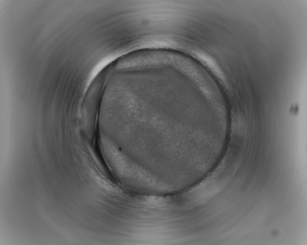 X0000090621226200708141406