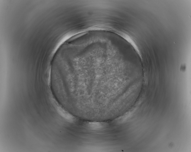 X0000090621227200708141406