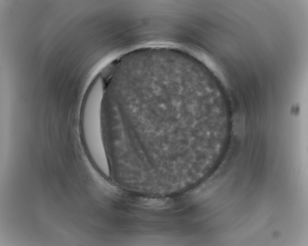 X0000090621229200708141406