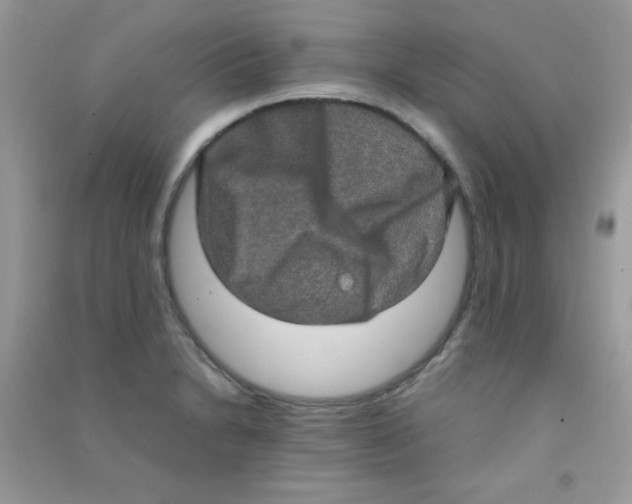 X0000090621230200708141406