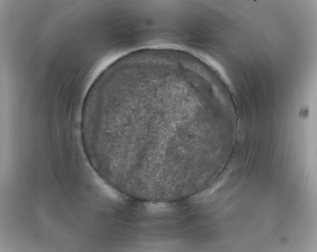 X0000090621231200708141406