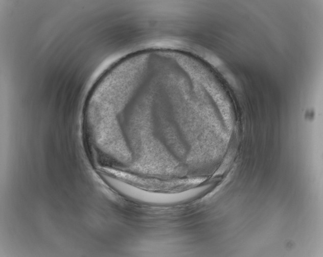 X0000090621232200708141406