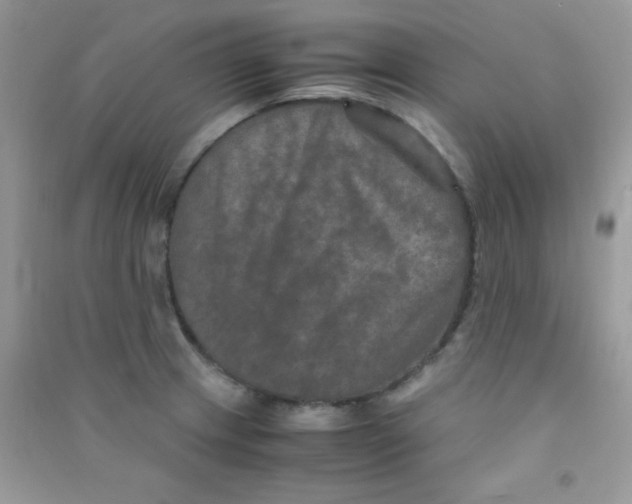 X0000090621233200708141406