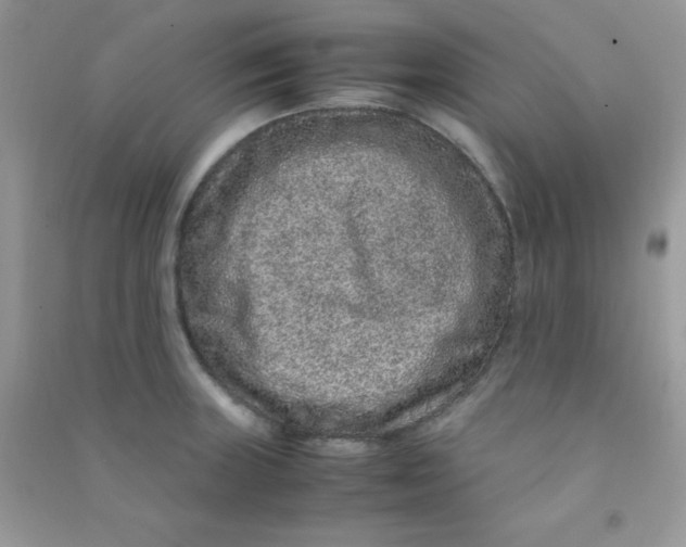 X0000090621235200708141406