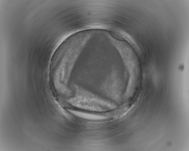 X0000090621236200708141406