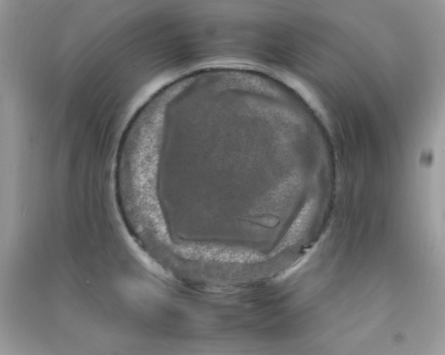 X0000090621237200708141406