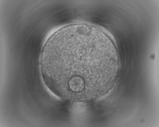 X0000090621239200708141406