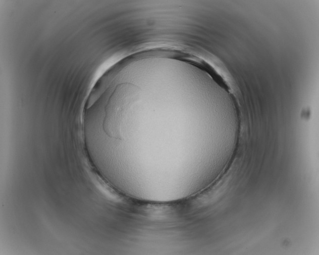 X0000090621242200708141406