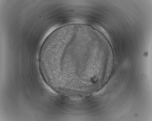 X0000090621243200708141406