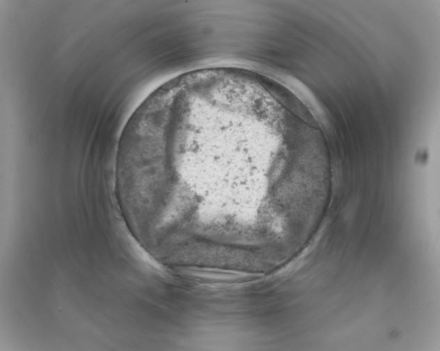 X0000090621244200708141406