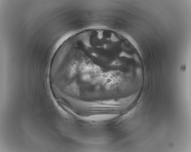 X0000090621245200708141406