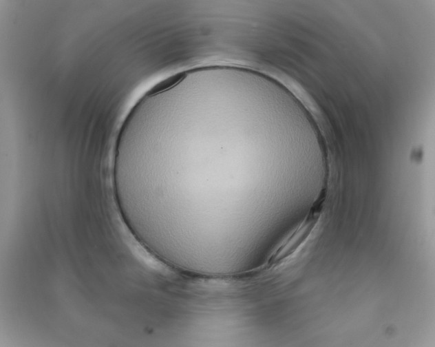 X0000090621246200708141406