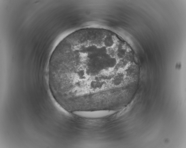 X0000090621247200708141406