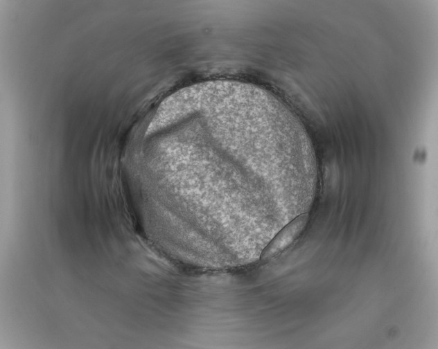 X0000090621250200708141405