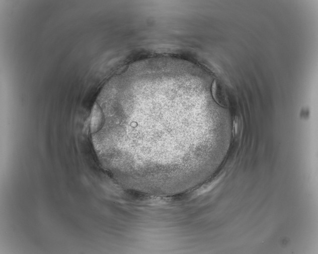 X0000090621251200708141405