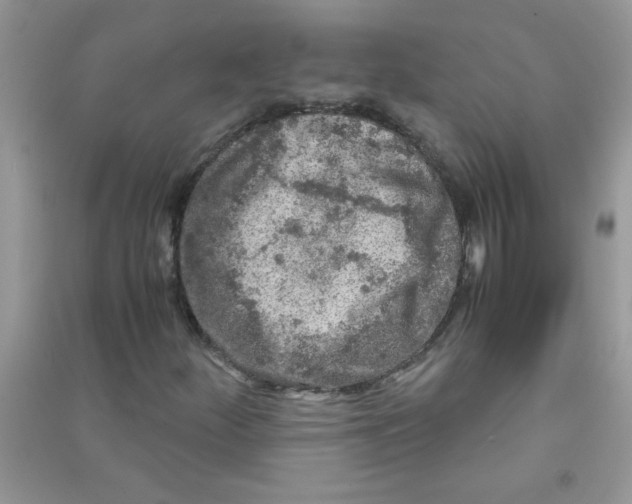 X0000090621252200708141405