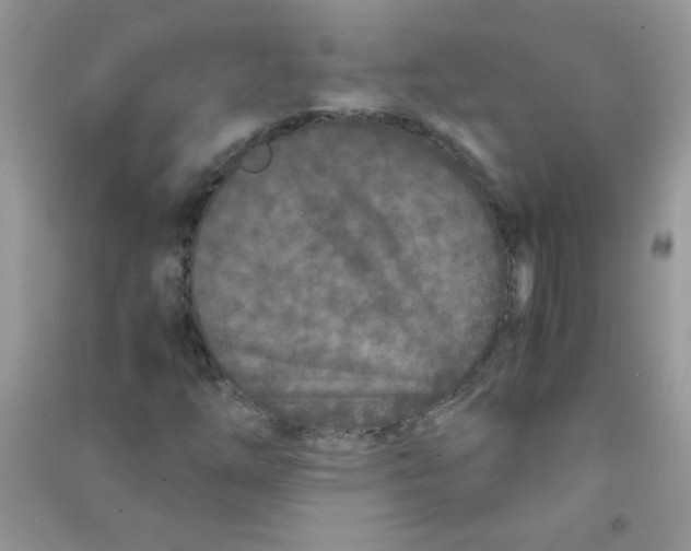 X0000090621254200708141405