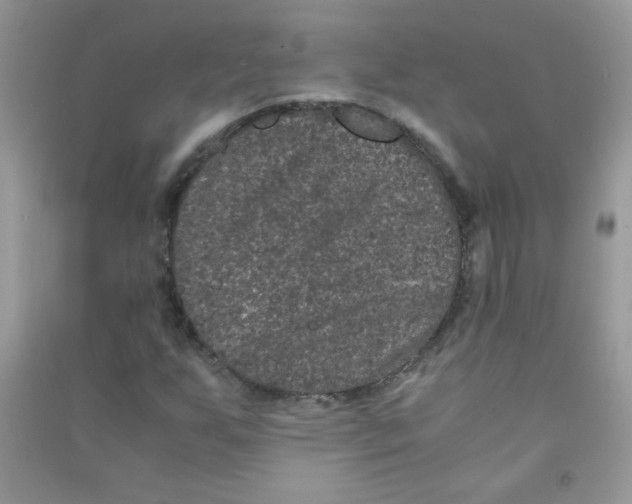 X0000090621255200708141405