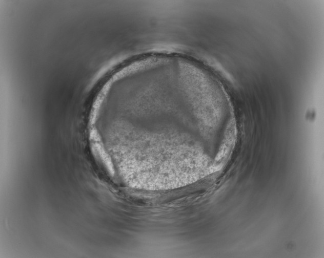 X0000090621256200708141405