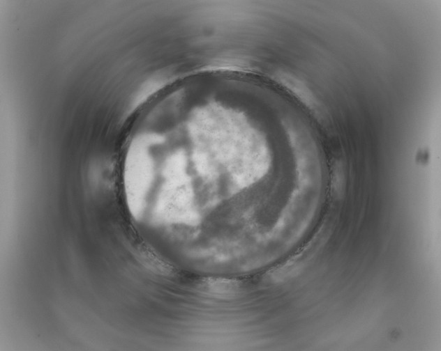 X0000090621258200708141405