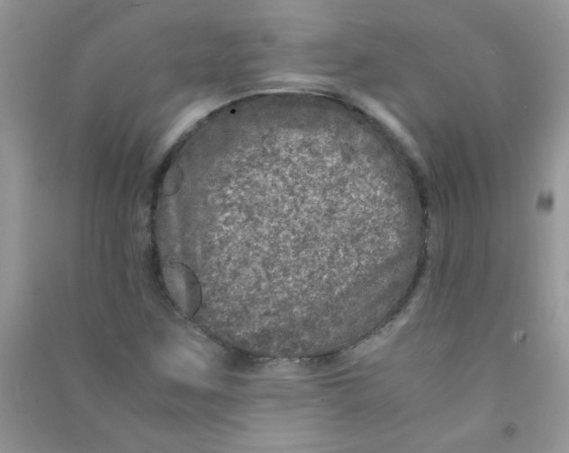 X0000090621259200708141405