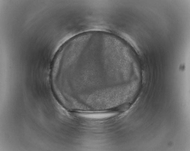 X0000090621260200708141405