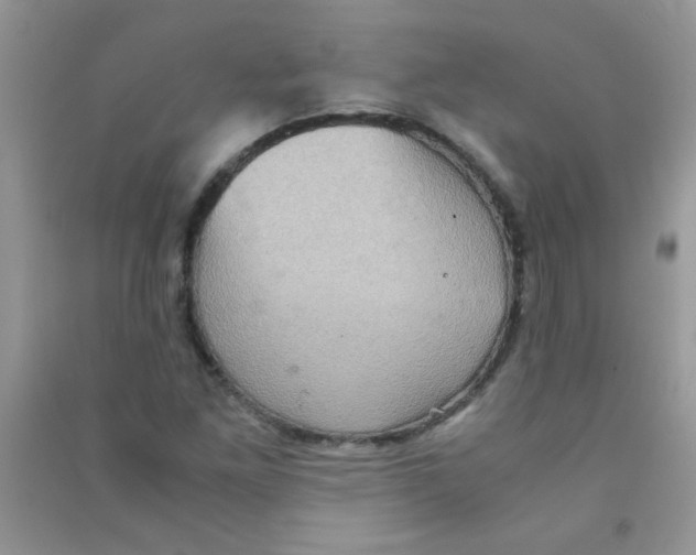 X0000090621261200708141405