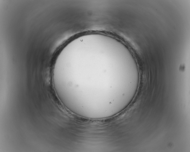 X0000090621262200708141405