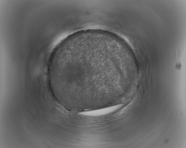 X0000090621263200708141405