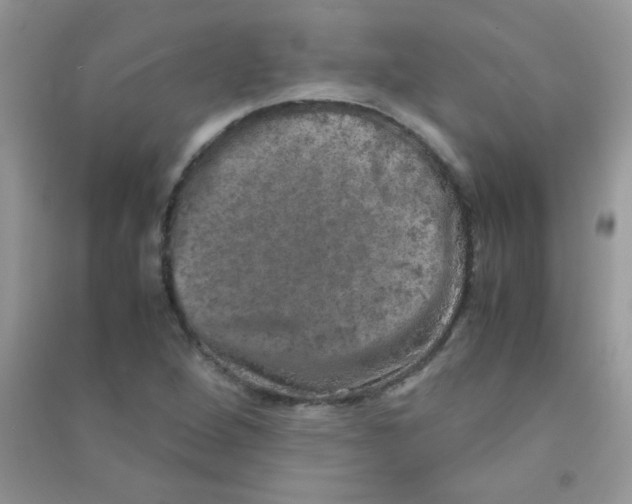 X0000090621264200708141405